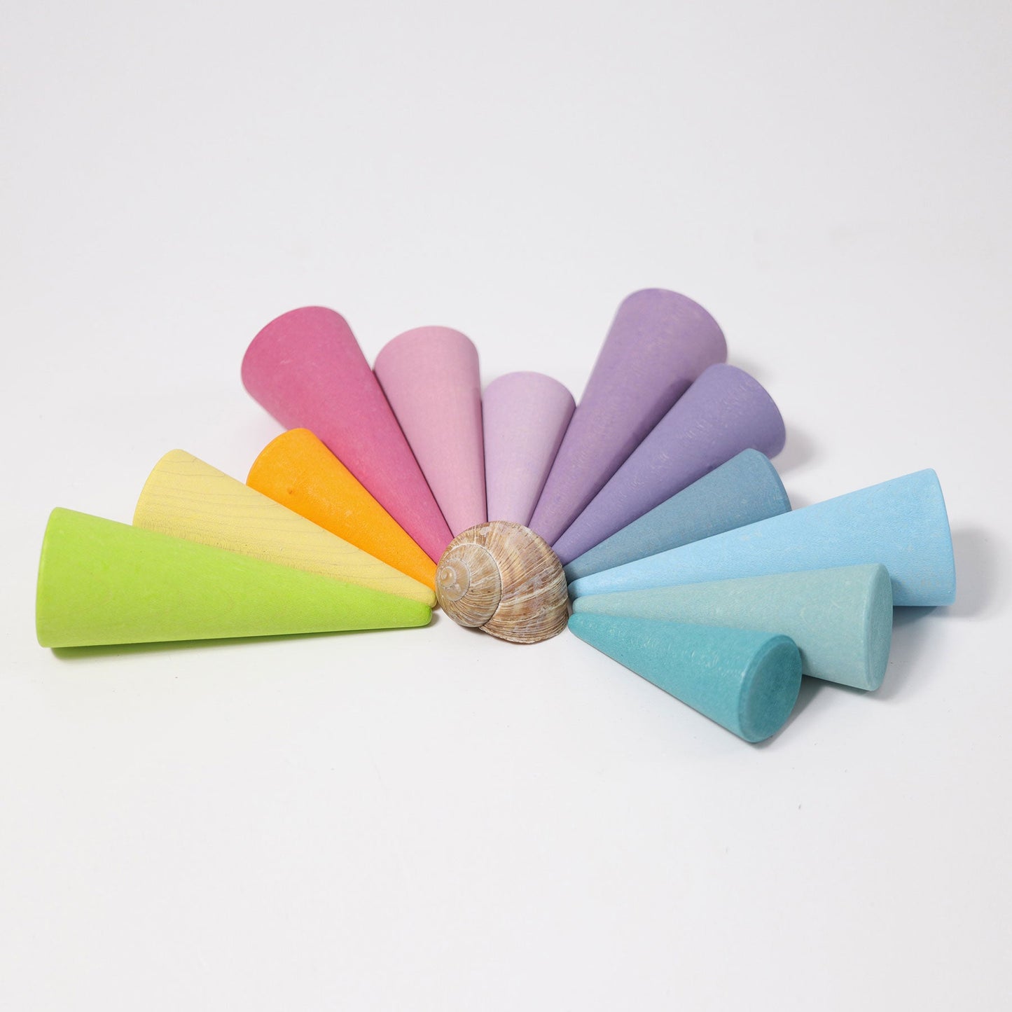Pastel rainbow forest with shell