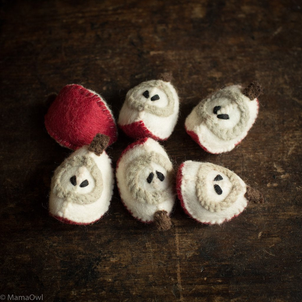 Wool Felt Apple Slices
