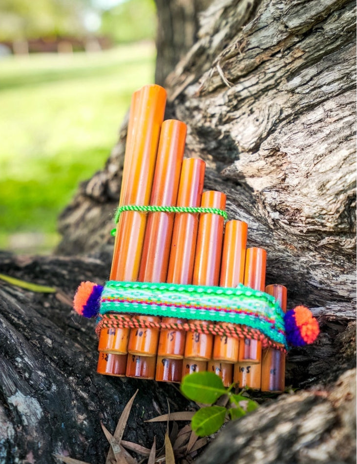 Small Pan Flute in nature