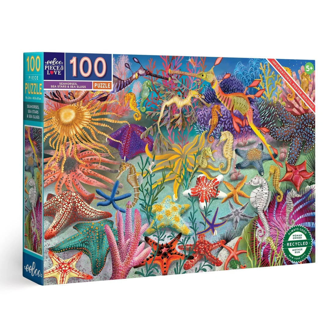 seahorse, sea stars & sea slugs 100-piece puzzle box