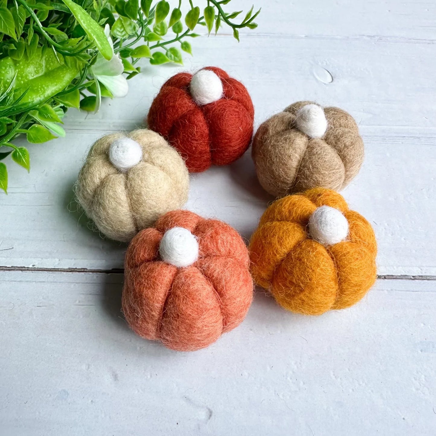 set of five boho mini felt pumpkins
