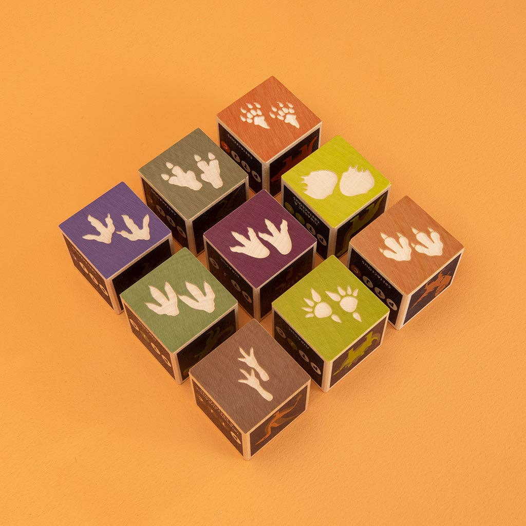 Colorful wooden blocks with dinosaur footprint designs on an orange background