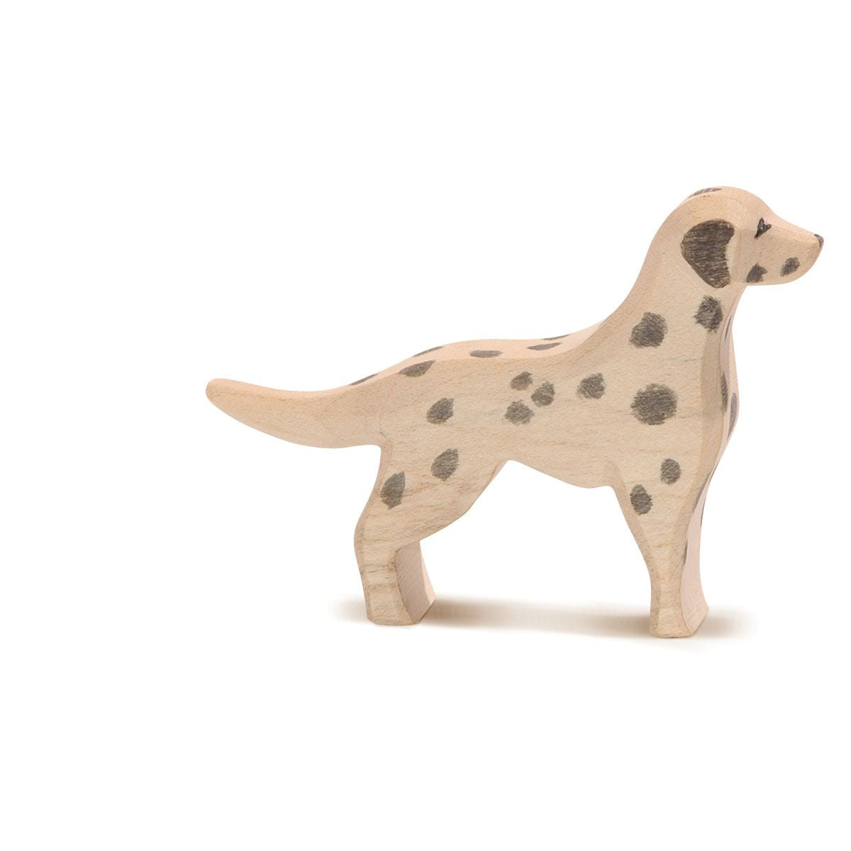 Dalmatian by ostheimer