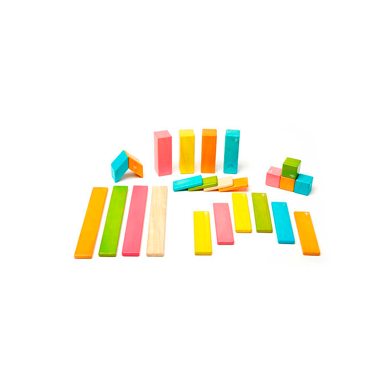 24-Piece Set <br>Magnetic Wooden Blocks <br>Tegu Classics