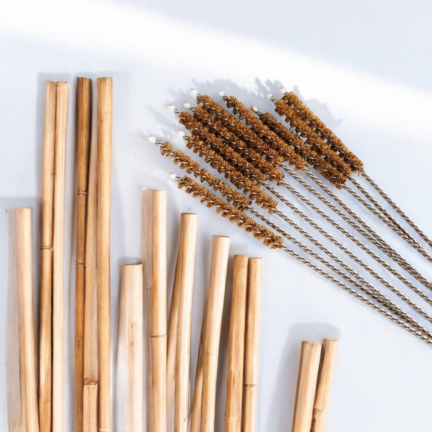 Bamboo Switch - Coconut Fiber Plastic Free Straw Cleaner