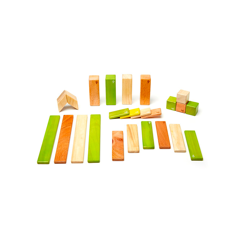 24-Piece Set <br>Magnetic Wooden Blocks <br>Tegu Classics