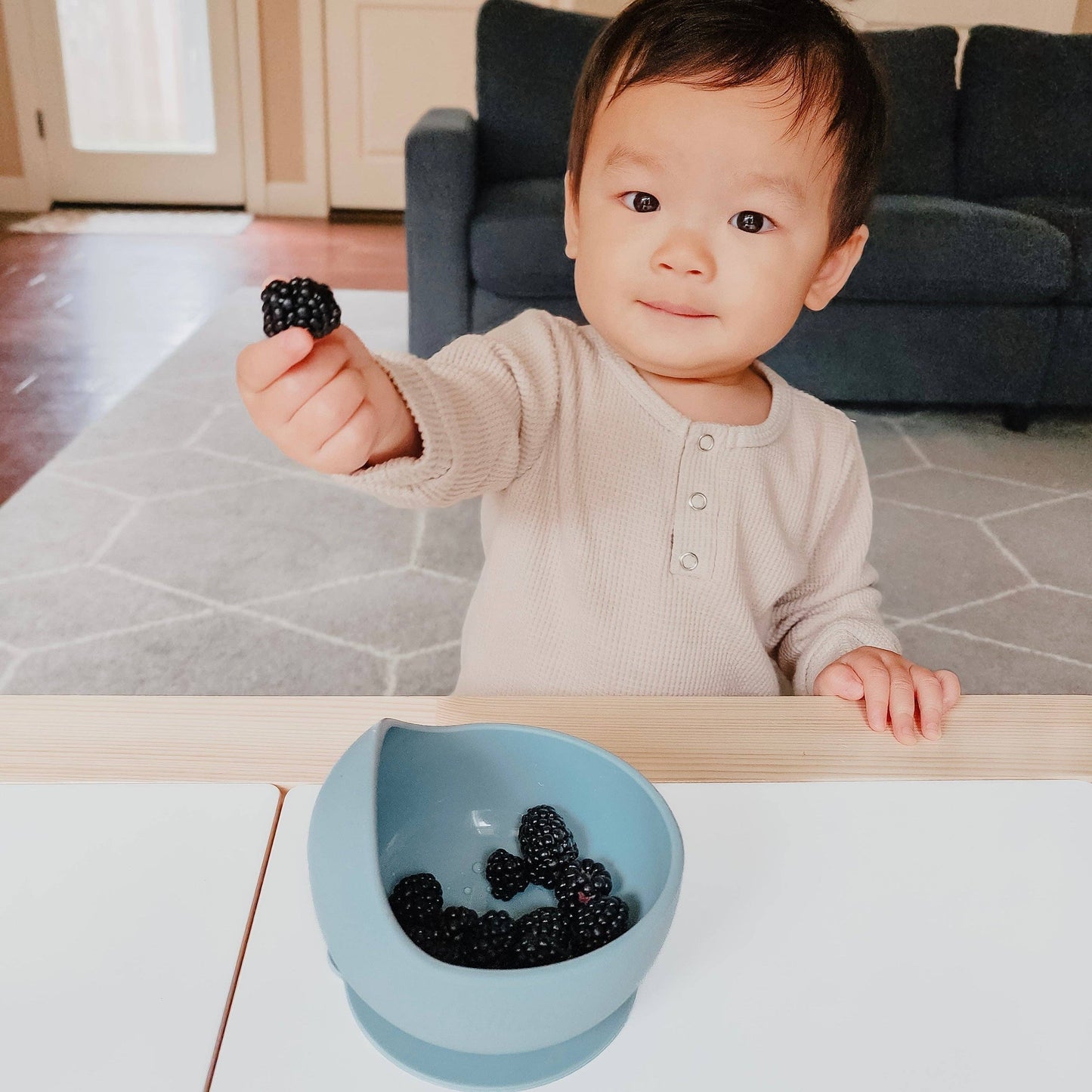 Easy Scoop Suction Bowl