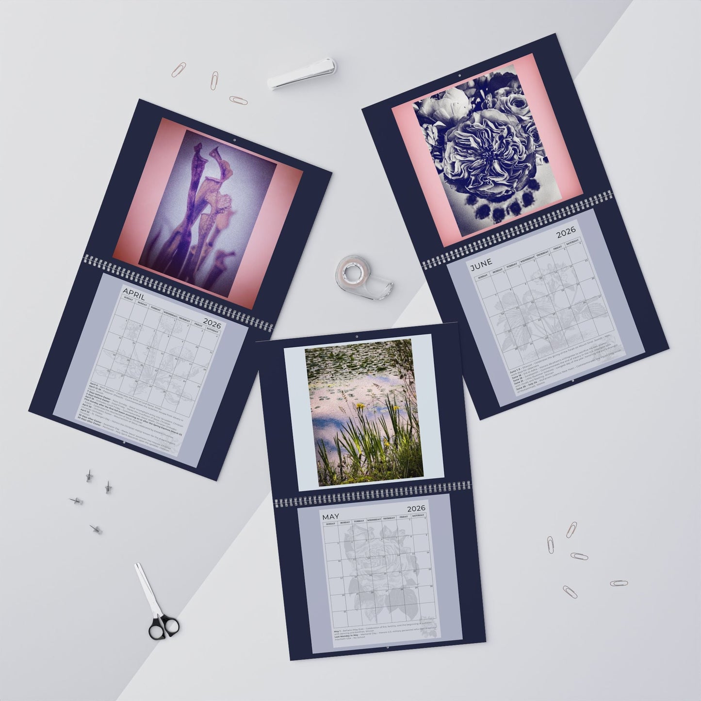 2026 "EXPRESSIONS OF LIGHT" WALL Calendar