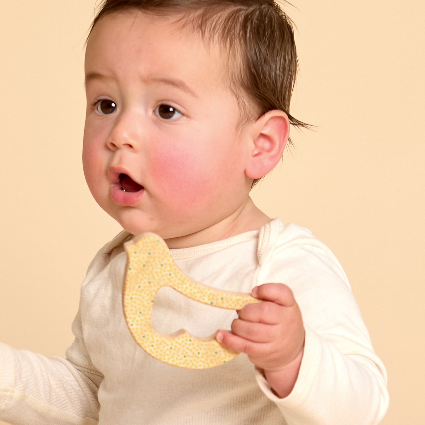 Solid Maple Wood Bird Rattle & Teether (Dots) – Natural Wooden Baby Toy | Made in the USA 🇺🇸