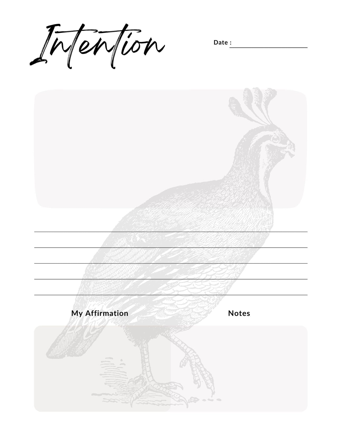 Monthly Planner and Journal with Fill  In Calendar: Art by Mona Anastas