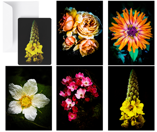 Flowers in Black (set of 25 50% OFF at Checkout $3.25 per card)