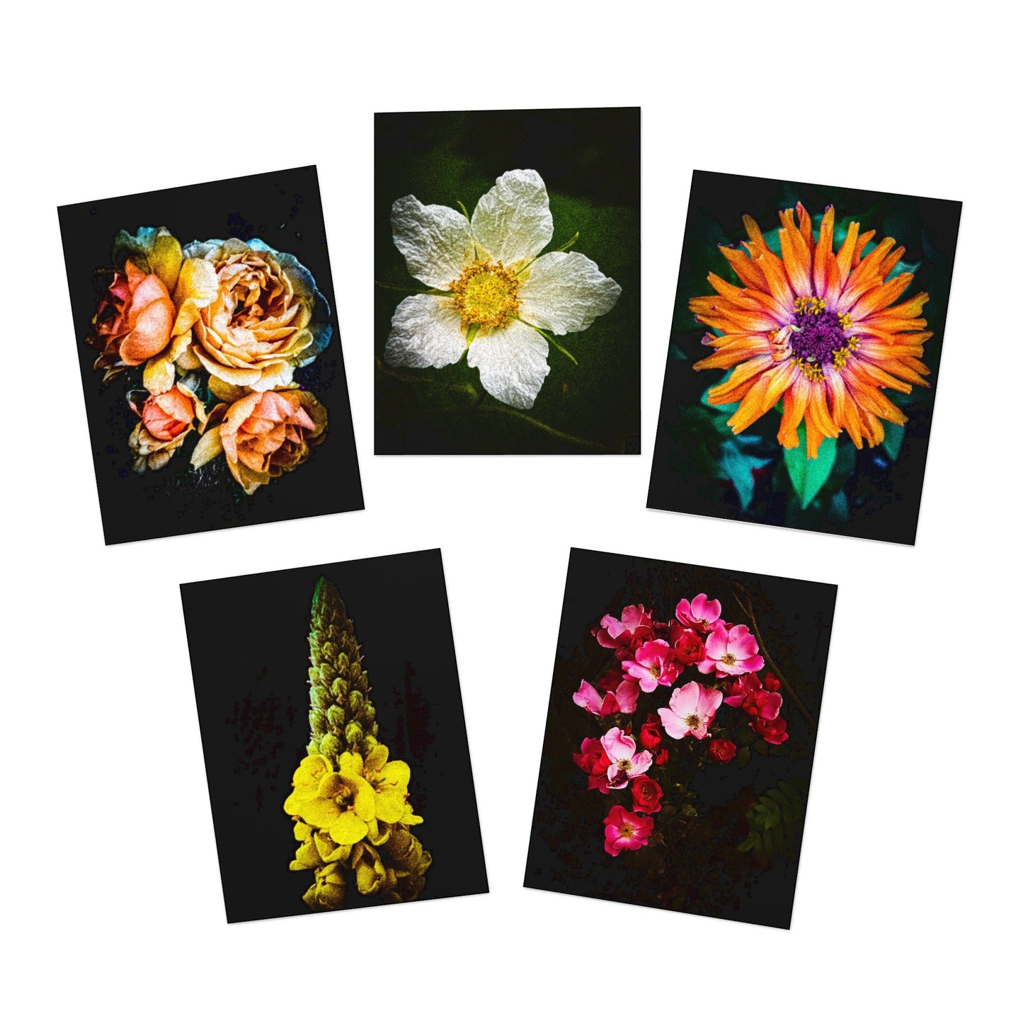 Flowers in Black (set of 25 50% OFF at Checkout $3.25 per card)
