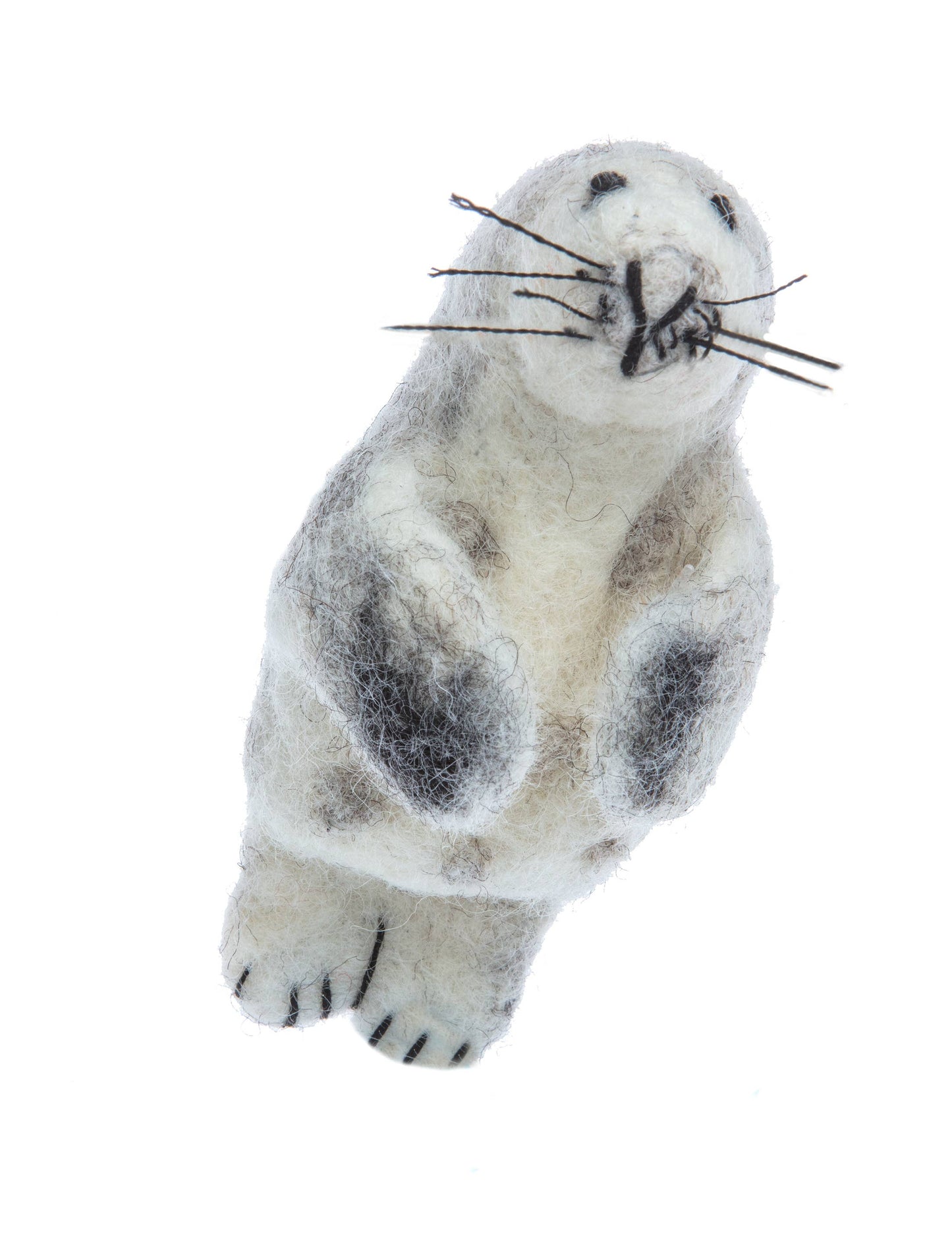 Stuffed toy seal on a white background