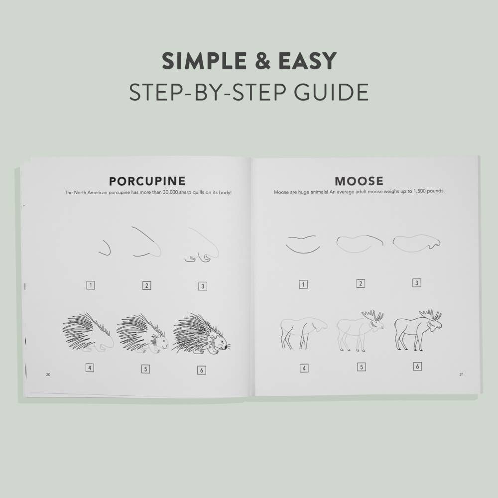 Step-by-step guide for drawing a porcupine and a moose on a light green background