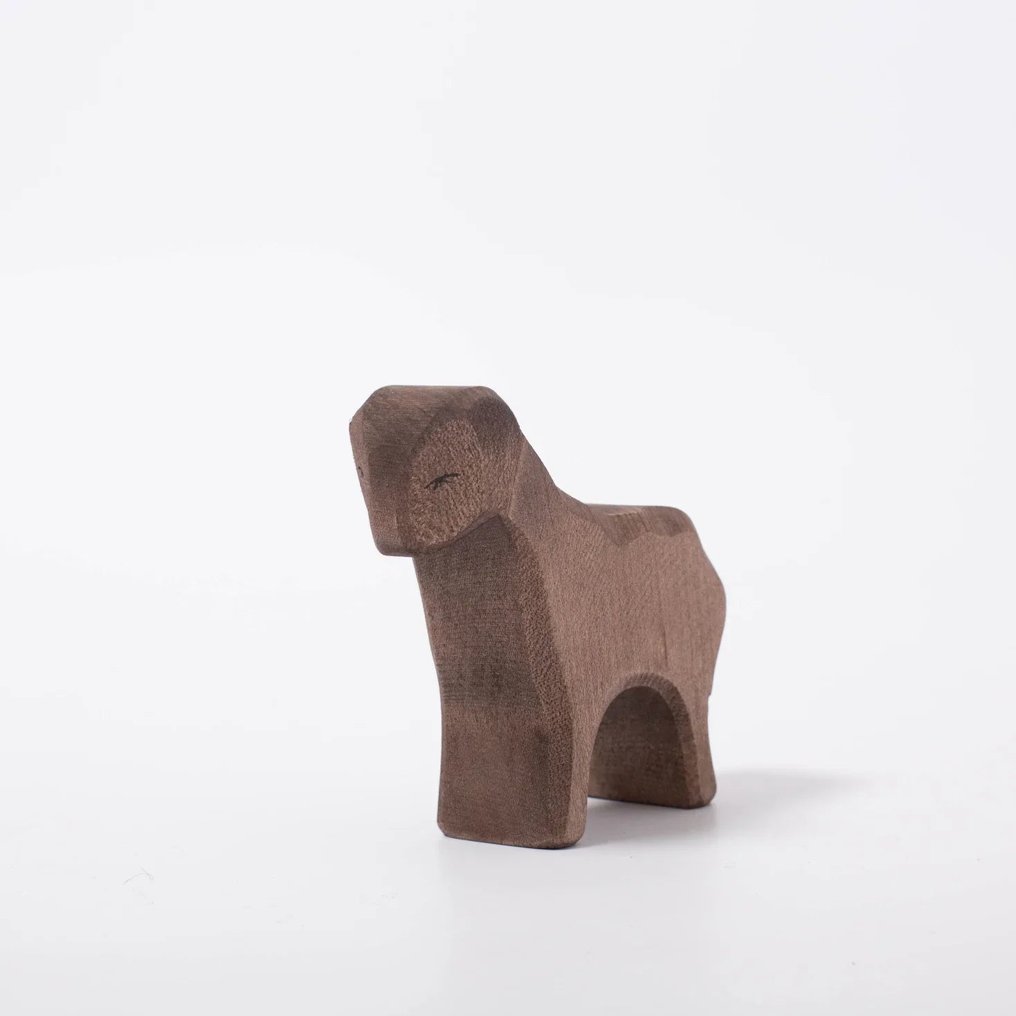 brown sheep standing