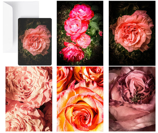 Rose Garden Greeting Cards (set of 25 50% OFF at Checkout $3.25 per card)