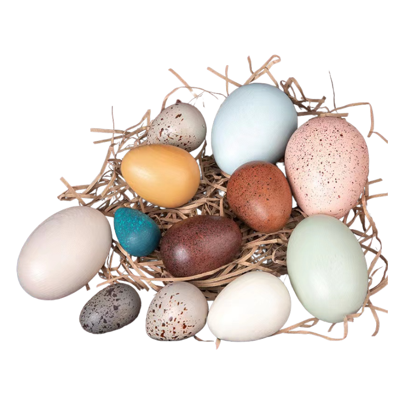Nest with colorful eggs on a white background