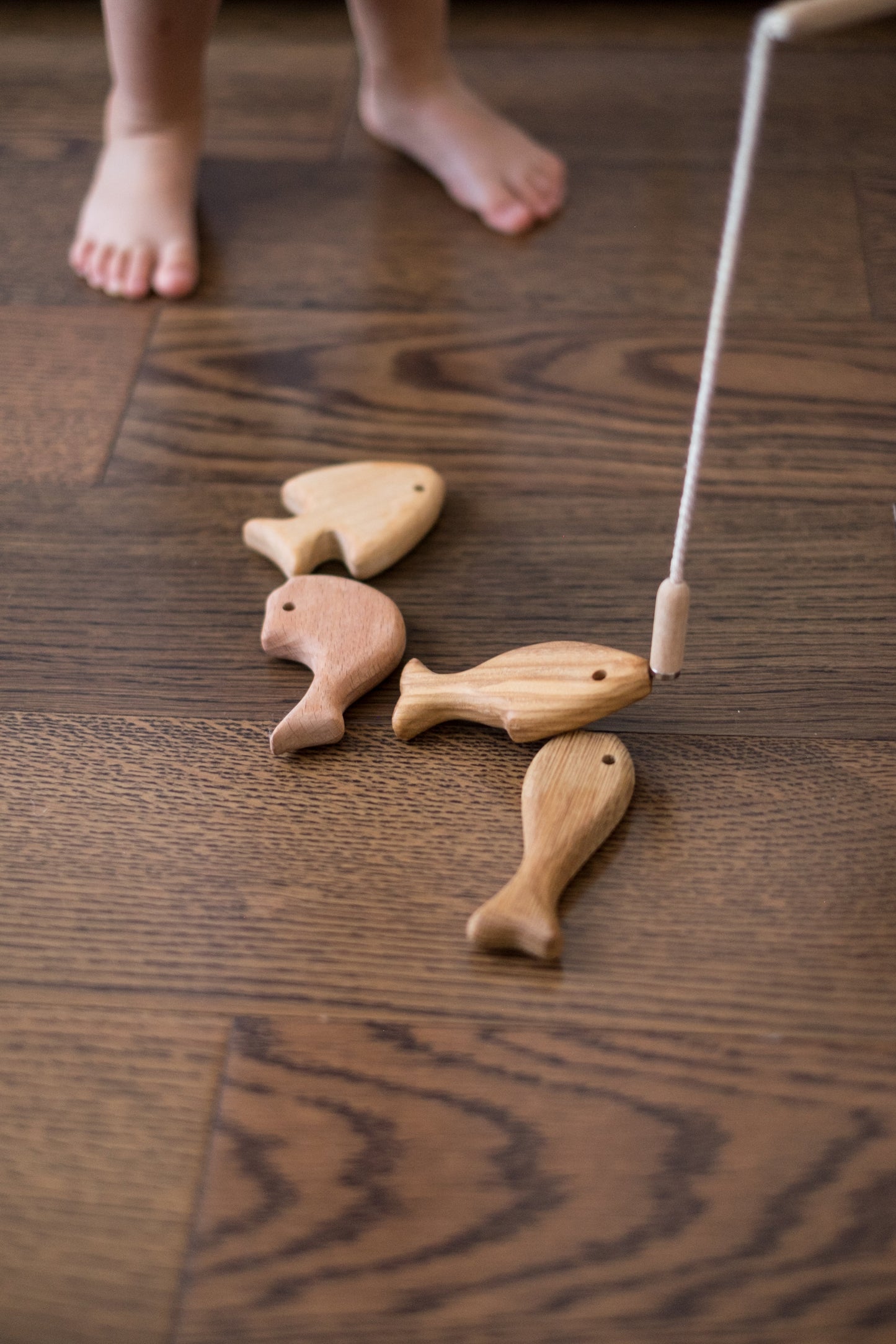 Wooden Magnetic Fishing Game for Kids, 4 types of Wood