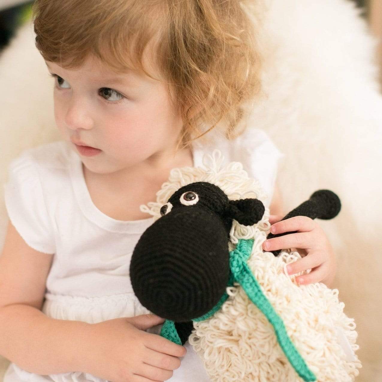 Shelly the sheep