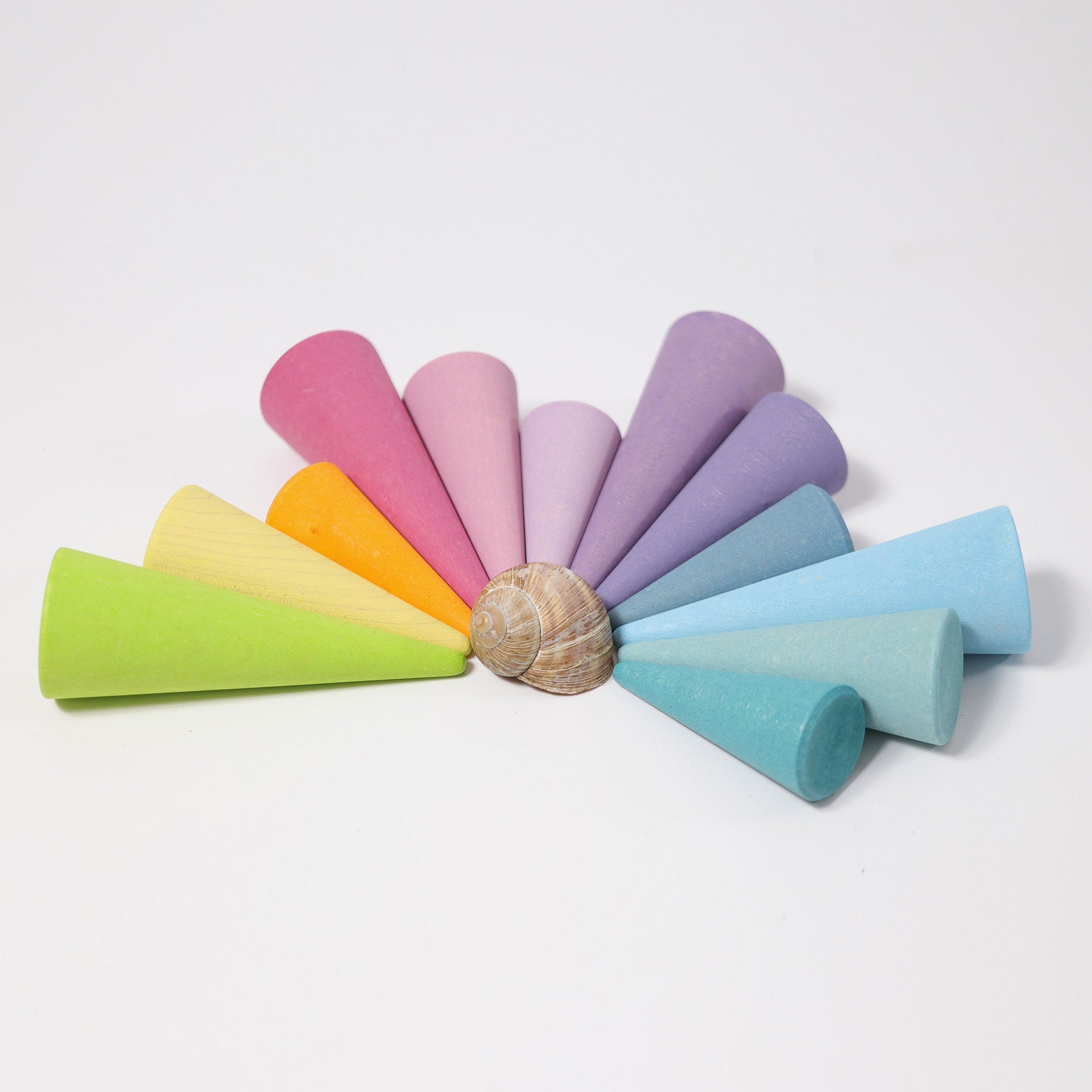 Pastel rainbow forest with shell