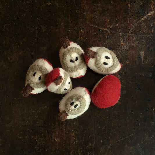 Wool Felt Apple Slices