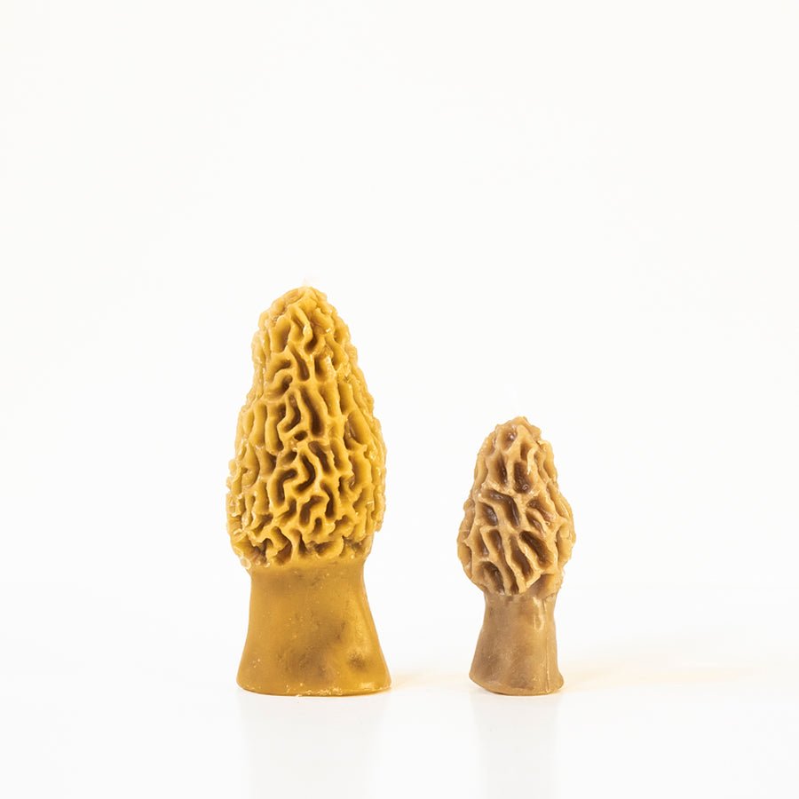 Two morel mushroom-shaped objects on a white background