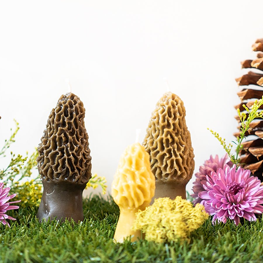 Three decorative morel mushrooms on grass with flowers and a pine cone.