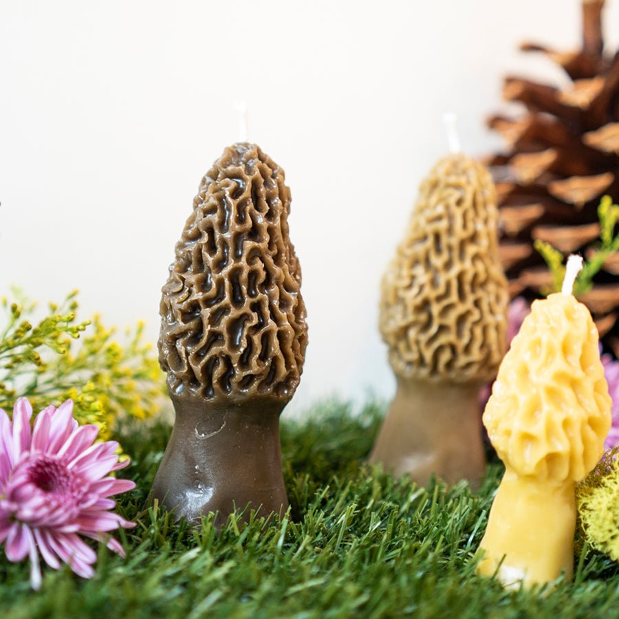 Three decorative mushrooms on a grassy surface with flowers and a pine cone in the background.