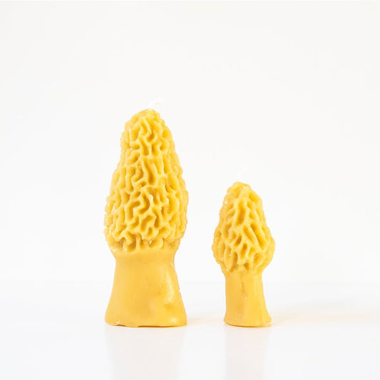 Two yellow morel mushroom-shaped candles on a white background