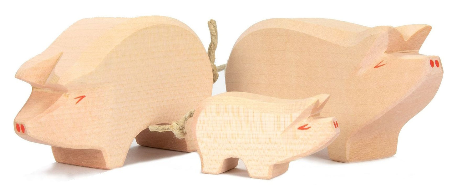 Pig family