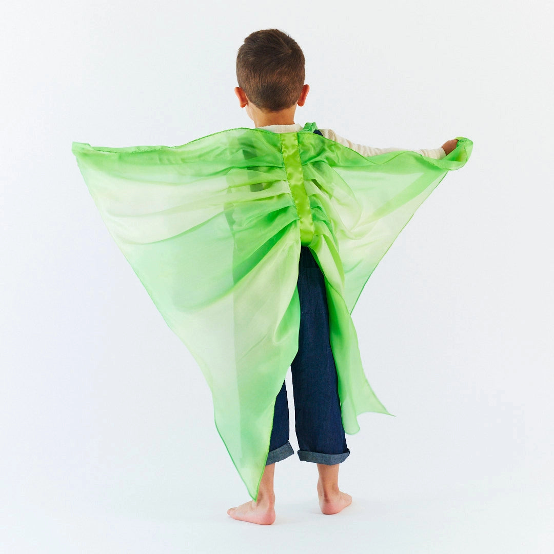 Silk Dress-Up Wings