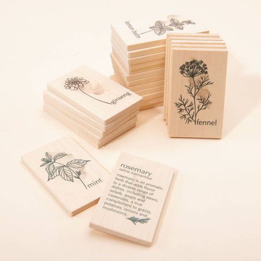 Set of wooden tiles with herb designs and facts on a light background
