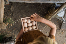 Load image into Gallery viewer, Child holding small storage box filled with eggs
