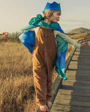Load image into Gallery viewer, ocean silk cape on a child in overalls with a crown
