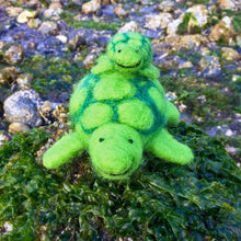 Load image into Gallery viewer, Turtle Felting Kit
