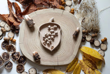 Load image into Gallery viewer, Acorn Sorting Tray with wooden acorns
