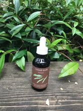 Load image into Gallery viewer, Cramp Bark Tincture
