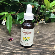 Load image into Gallery viewer, Postpartum Depression Tincture
