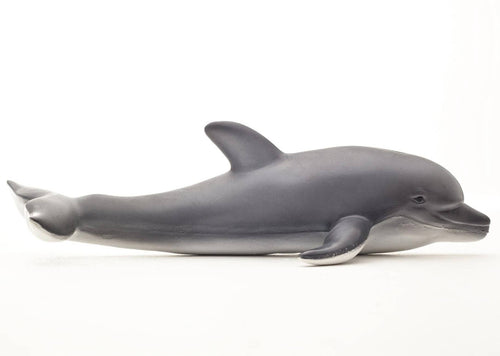 Natural rubber dolphin