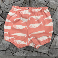 Load image into Gallery viewer, Coral Whale Bloomers
